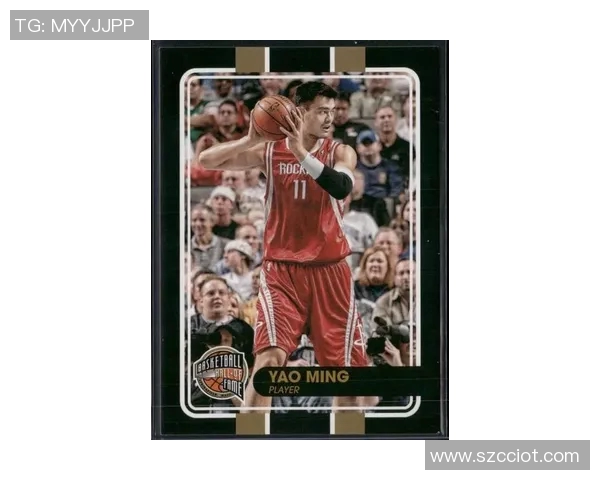 姚明升高游戏带你体验篮球巨星的成长之路与挑战乐趣