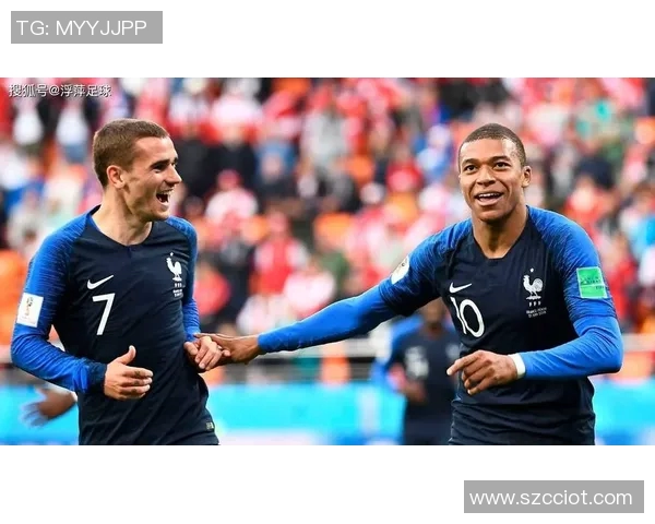 2012年法国足球明星的辉煌成就与影响力分析